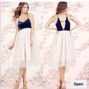 LC Lauren Conrad Runway Velvet and Tulle Dress